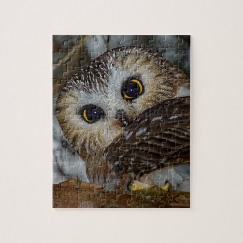 Northern Saw_whet Owl in a Tree Jigsaw Puzzle