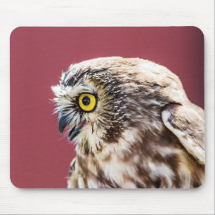 Northern Saw-Whet Owl Portrait Mouse Pad