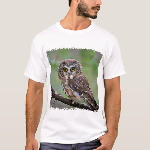 Northern Saw_whet Owl T_Shirt