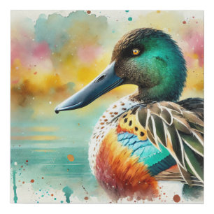 Northern Shoveler Duck 210624AREF124 - Watercolor Faux Canvas Print