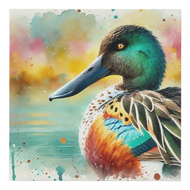 Northern Shoveler Duck 210624AREF124 - Watercolor Faux Canvas Print (Front)