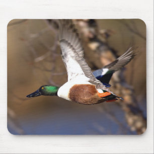 Northern Shoveler Duck Mousepad