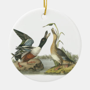 Northern Shoveler, John Audubon Ceramic Ornament