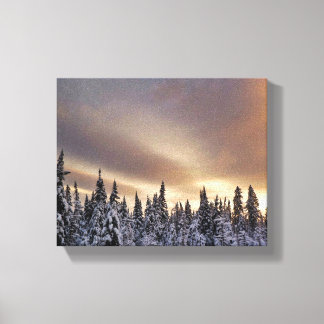 Northern Sky Canvas Print