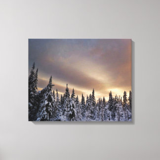 Northern Sky Canvas Print