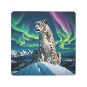 “Northern Sky Wanderer” – Snow Leopard Portrait Metal Print