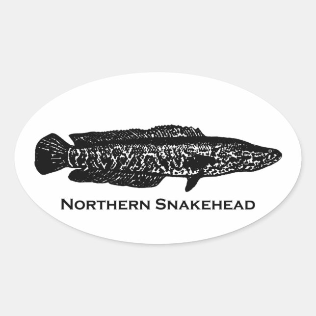 Northern Snakehead Oval Sticker (Front)