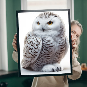 Northern Snowy Owl Canvas Print