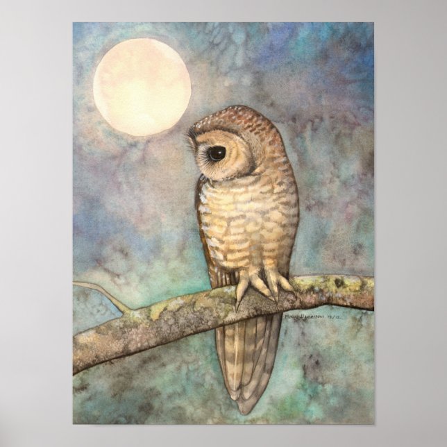 Northern Spotted Owl Fine Art Wildlife Poster (Front)
