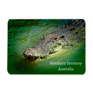 Northern Territory Saltwater Crocodile Magnet
