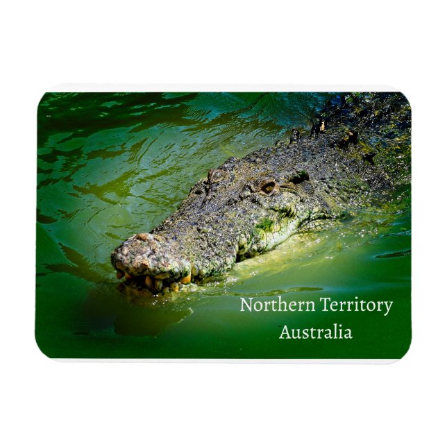 Northern Territory Saltwater Crocodile  Magnet (Horizontal)