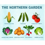 Northern Vegetable Garden Cutout<br><div class="desc">A humorous take on gardening in places with cold climates such as Alaska, Minnesota and Canada. You can't grow everything, but try those illustrated here: Yukon Chief sweet corn, snow peas, Yukon Chief tomato, January King cabbage, Yukon Gold potato, Icicle radish, and Iceberg lettuce. Each is labeled and text reading,...</div>