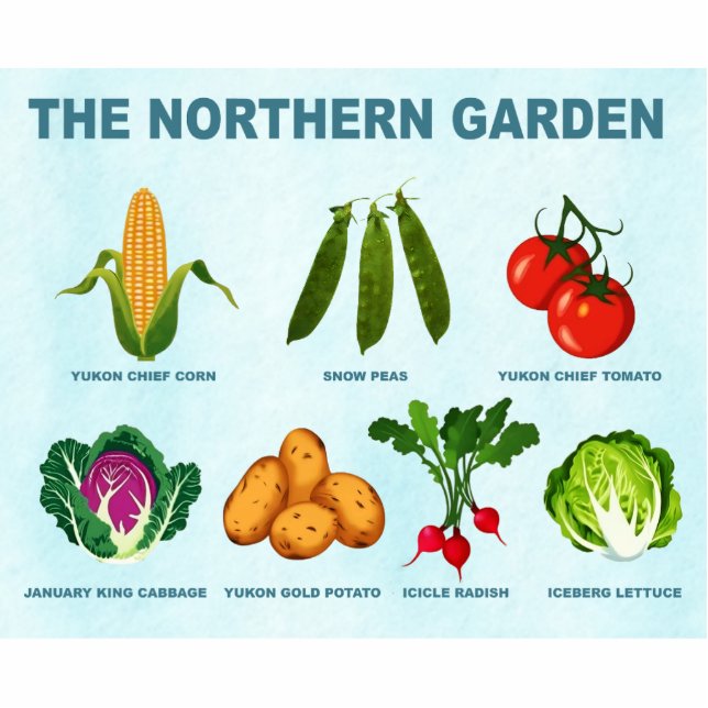 Northern Vegetable Garden Cutout (Front)