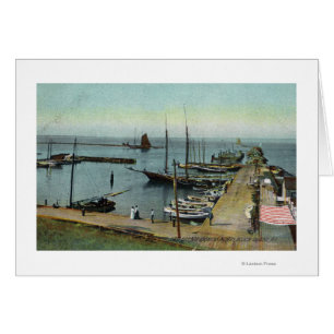 Northern View from East Harbor Cards