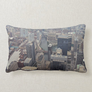 Northern View Of Chicago From Willis Tower Lumbar Pillow
