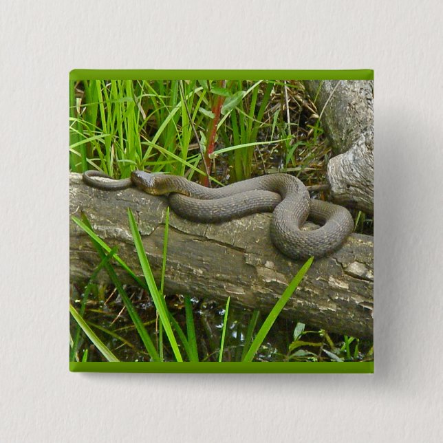 Northern Water Snake Basking on Log Multiple Items Button (Front)