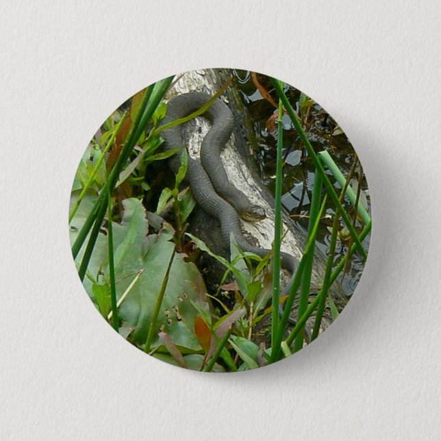 Northern Water Snake Basking on Log Multiple Items Pinback Button (Front)