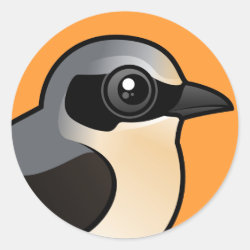 Northern Wheatear (adult) Round Sticker