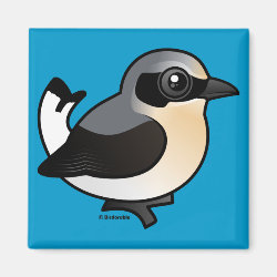 Northern Wheatear (adult) Square Magnet