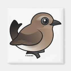 Northern Wheatear (juv) Square Magnet