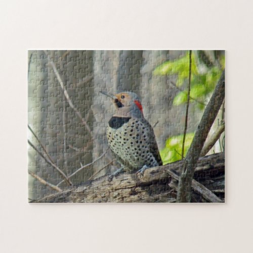 Northern Yellow_Shafted Flicker Jigsaw Puzzle