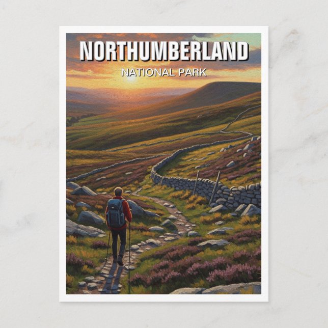 Northumberland National Park England Postcard (Front)