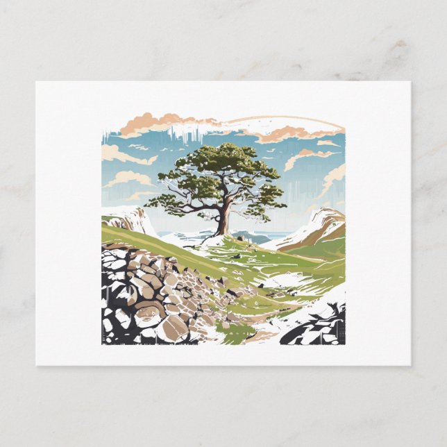 Northumberland National Park Sycamore Gap Tree Holiday Postcard (Front)