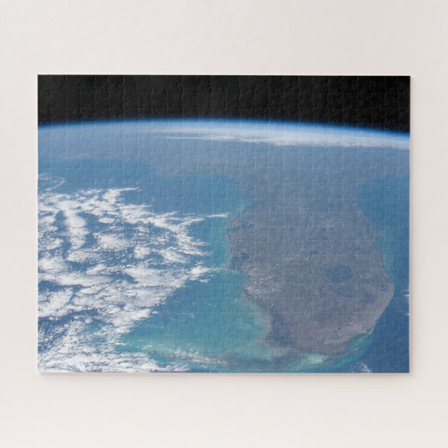 Northward The Florida Peninsula. Jigsaw Puzzle (Horizontal)