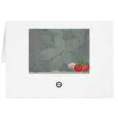 Northwest Crane in the Garden Crane Operator (Back Horizontal)