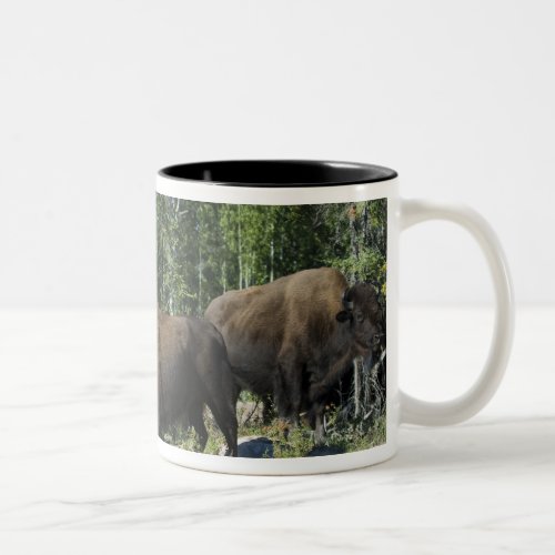 Northwest Territories Wood Buffalo National Two_Tone Coffee Mug