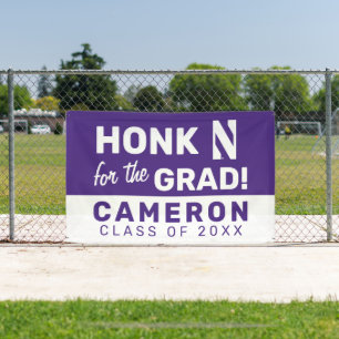 Northwestern University N Logo Banner
