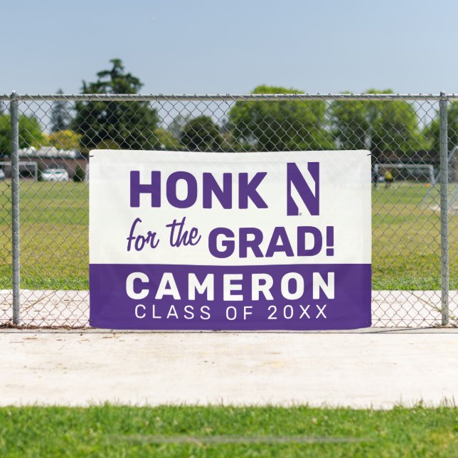 Northwestern University | N Logo Banner (Insitu)