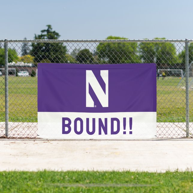 Northwestern University | N Logo Banner (Insitu)