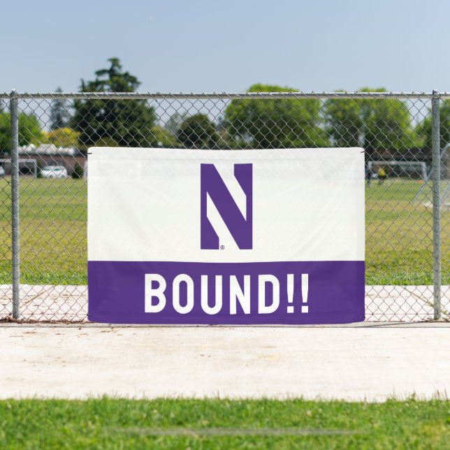 Northwestern University | N Logo Banner (Insitu)