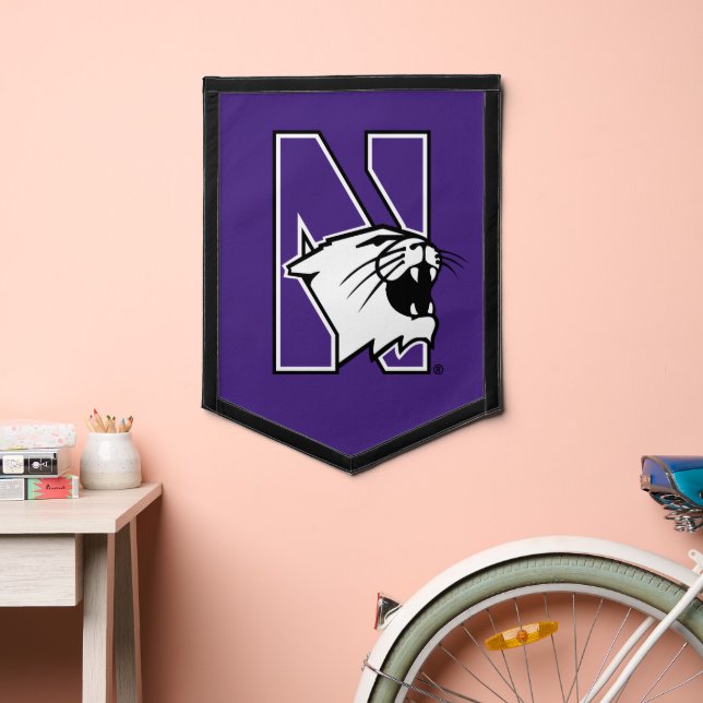 Northwestern University | Primary Logo Pennant (Insitu 2)
