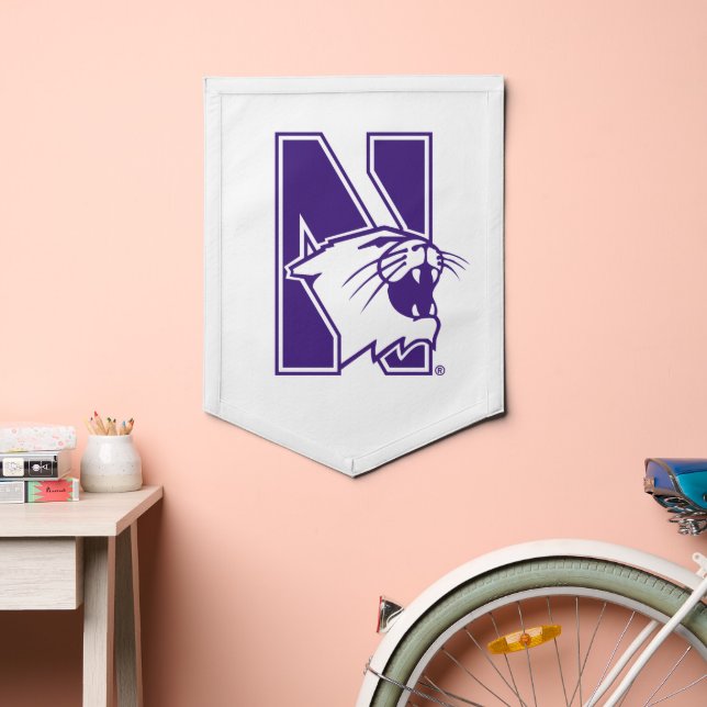 Northwestern University | Primary Logo Pennant (Insitu 2)