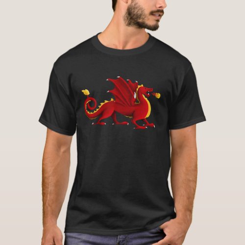 Nortons Dragon T_Shirt