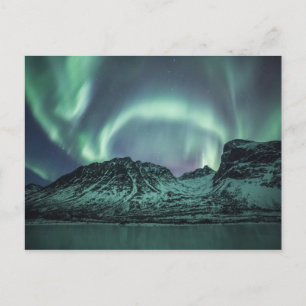 Norway Aurora Postcard