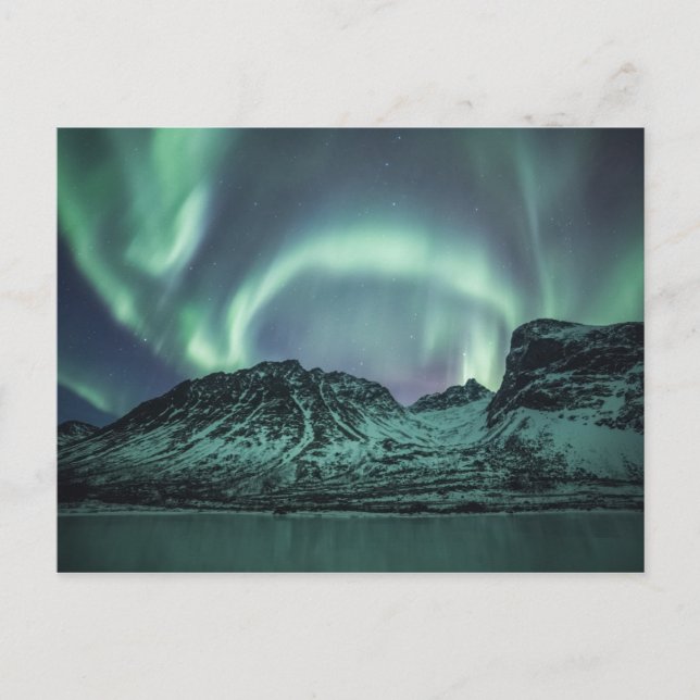 Norway Aurora Postcard (Front)