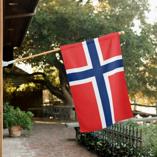 Norway Flag (In SItu)
