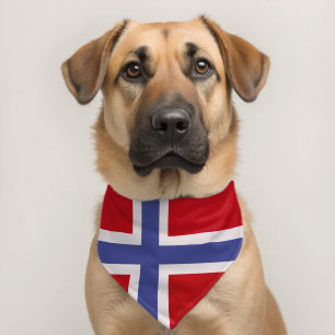 Norway flag pet bandana collar