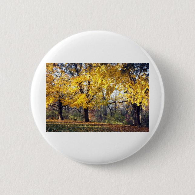 Norway Maples Button (Front)