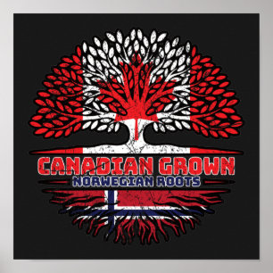 Norway Norwegian Canadian Canada Tree Roots Flag Poster