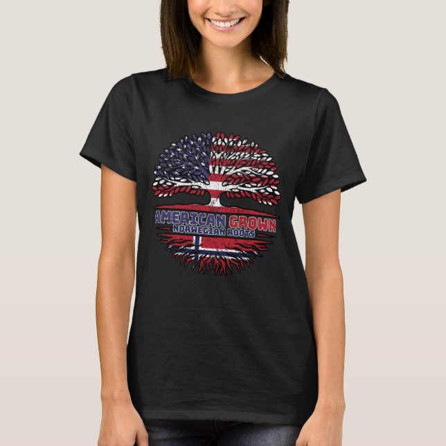 Norway Norwegian US American USA United States T-Shirt (Front)