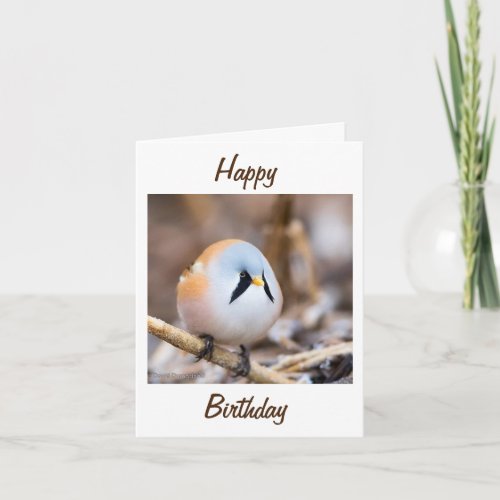 NORWAY PHOT TWEETS OUT HAPPY BIRTHDAY FRIEND CARD