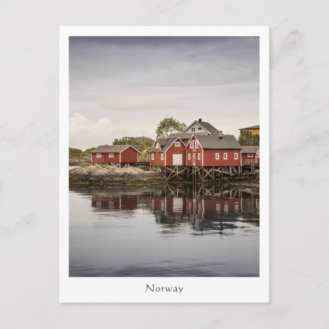Norway Souvenir  Postcard (Front)