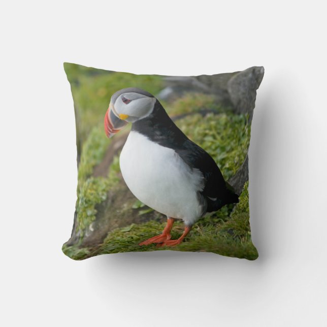 Norway, Svalbard Archipelago, Spitsbergen 9 Throw Pillow (Front)