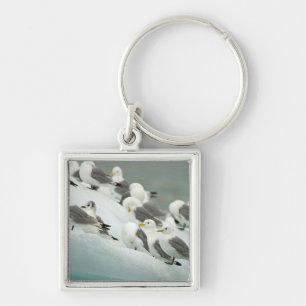 Norway, Svalbard Archipelago, Spitsbergen Keychain