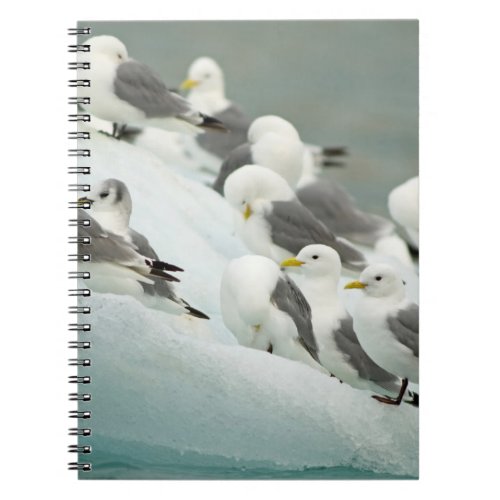 Norway Svalbard Archipelago Spitsbergen Notebook