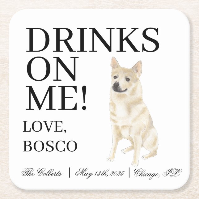 Norwegian Buhund Dog Wedding Square Paper Coaster (Front)